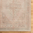Galey Alix by Livabliss Luciana GALU-2300 Dusty Rose Area Rug