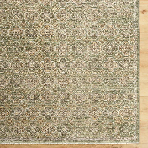 Galey Alix Myrtle Avenue GAMY-2301 Olive Area Rug by LIVABLISS