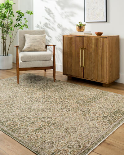 Galey Alix Myrtle Avenue GAMY-2301 Olive Area Rug by LIVABLISS