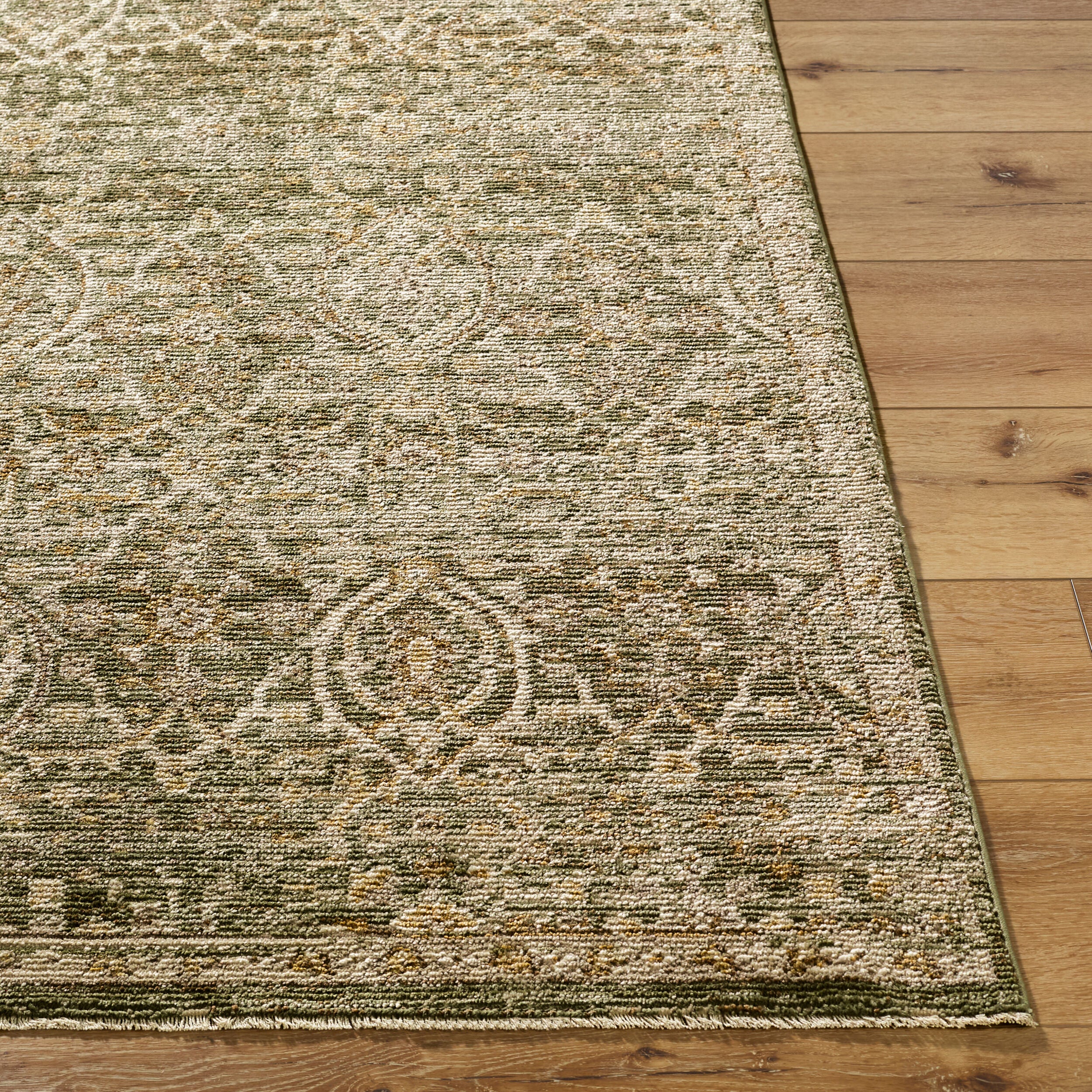 Galey Alix Myrtle Avenue GAMY-2305 Olive Area Rug