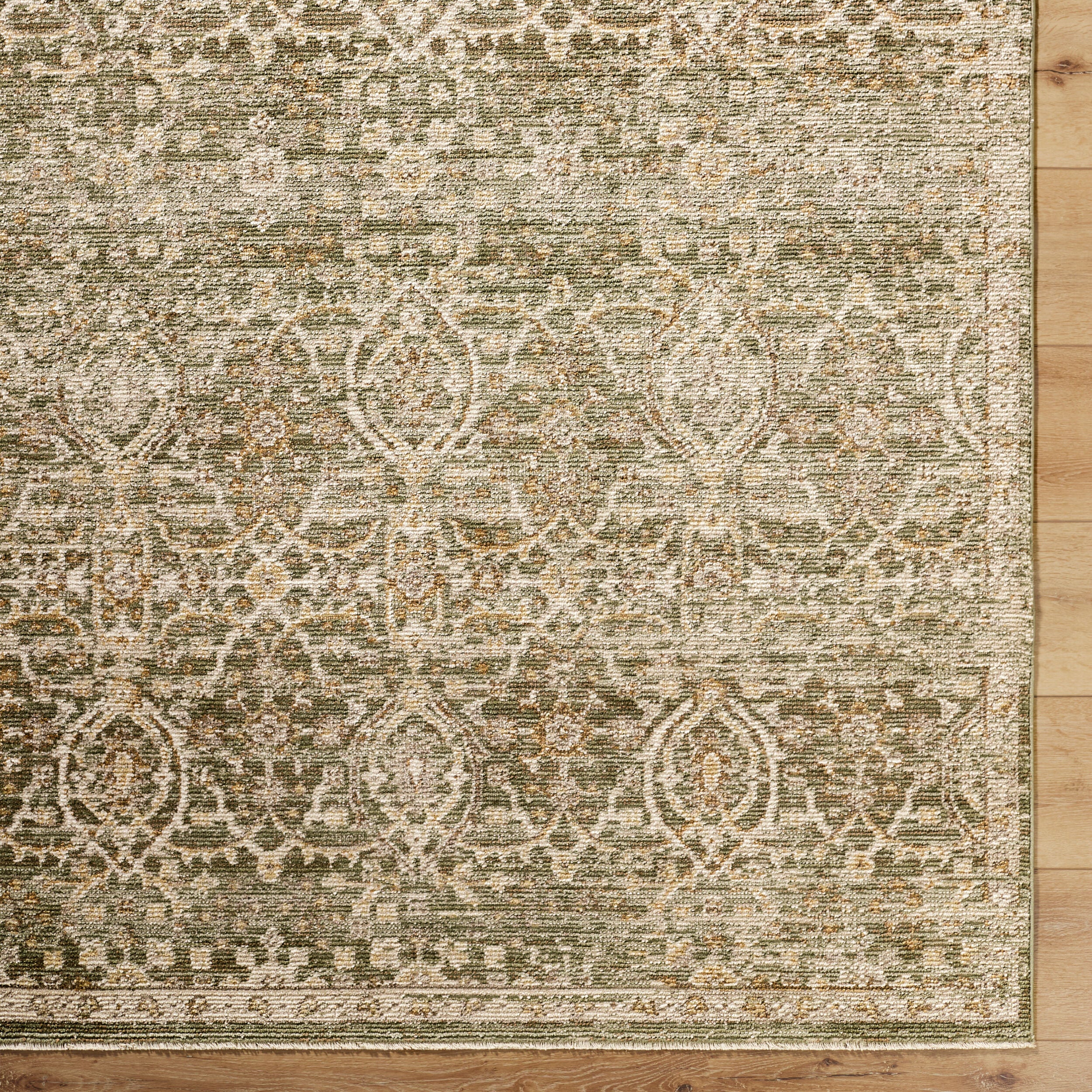 Galey Alix Myrtle Avenue GAMY-2305 Olive Area Rug