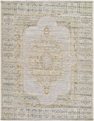 LIVABLISS Goblen GLN-2303 Pewter Area Rug