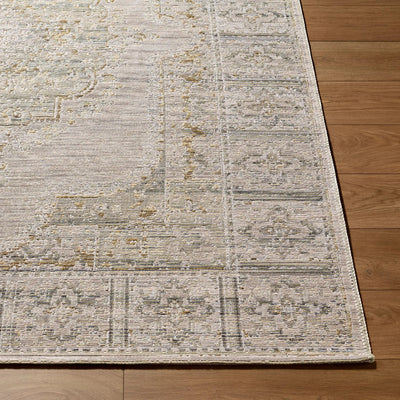 LIVABLISS Goblen GLN-2303 Pewter Area Rug