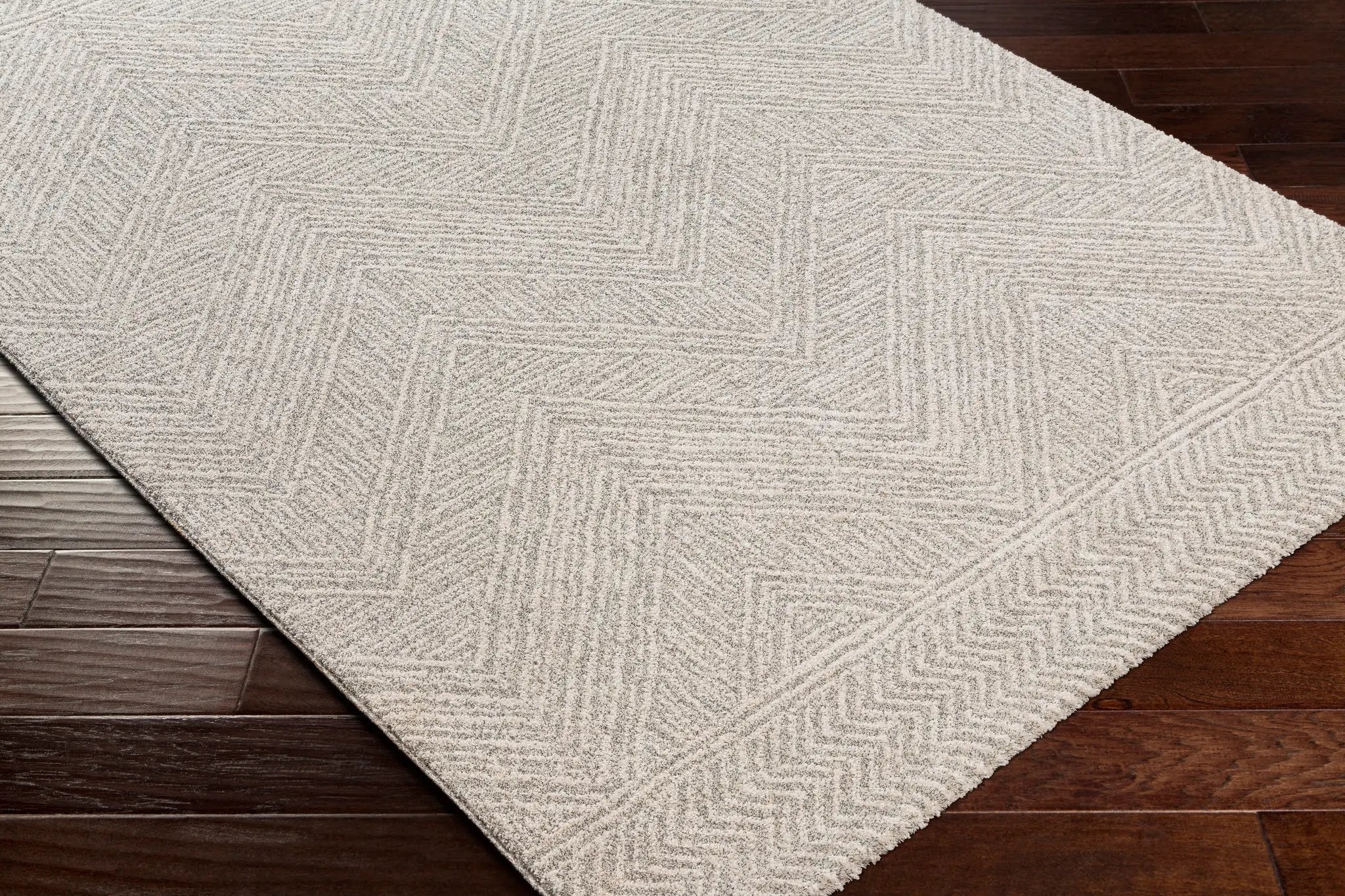 Gavic GVC-2300 Light-Slate Area Rug by LIVABLISS