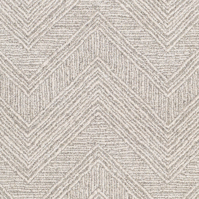 Surya Gavic GVC-2300 Light Slate Area Rug by LIVABLISS