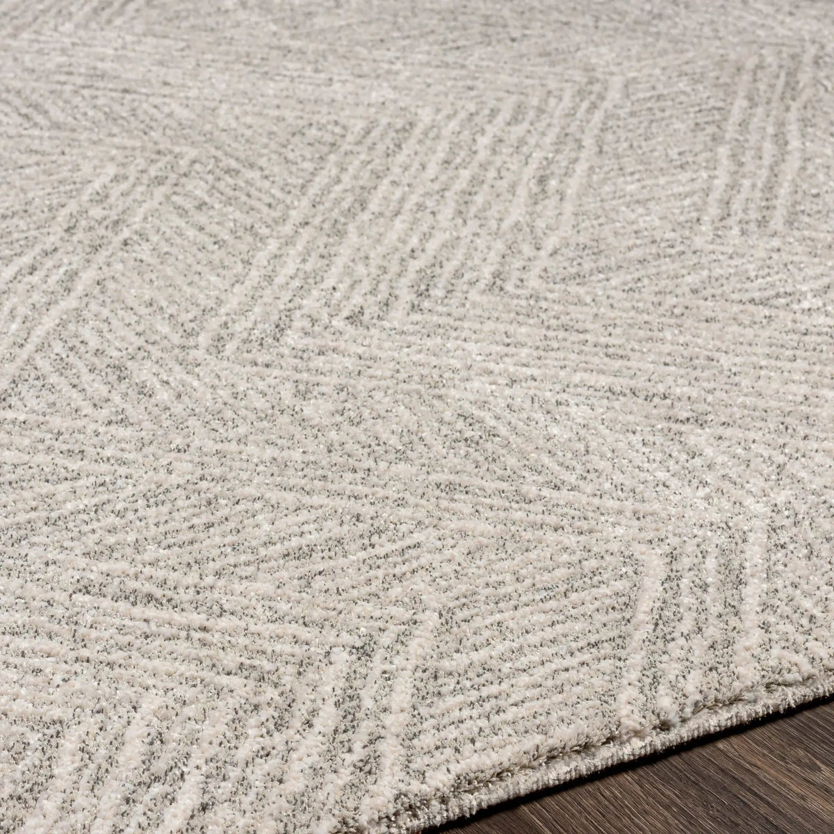 Gavic GVC-2300 Light-Slate Area Rug by LIVABLISS