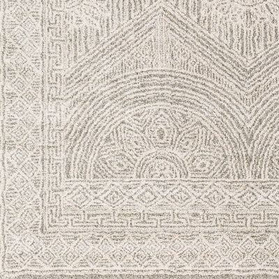 Surya Gavic GVC-2301 Cream Area Rug by LIVABLISS