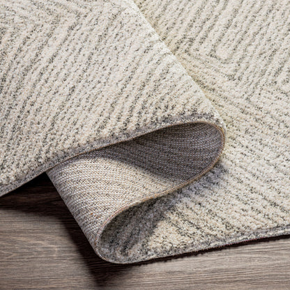 Surya Gavic GVC-2302 Cream Area Rug by LIVABLISS