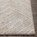 Surya Gavic GVC-2302 Cream Area Rug by LIVABLISS