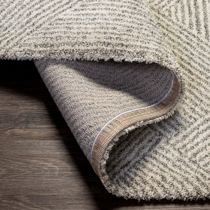 Surya Gavic GVC-2304 Cream Area Rug by LIVABLISS