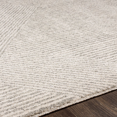 Surya Gavic GVC-2304 Cream Area Rug by LIVABLISS