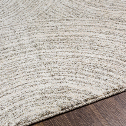 Surya Gavic GVC-2305 Cream Area Rug by LIVABLISS