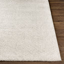 Surya Gavic GVC-2307 Cream Area Rug by LIVABLISS