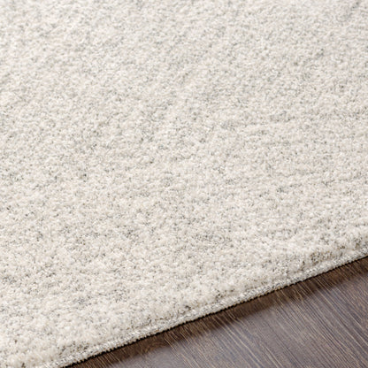 Surya Gavic GVC-2307 Cream Area Rug by LIVABLISS
