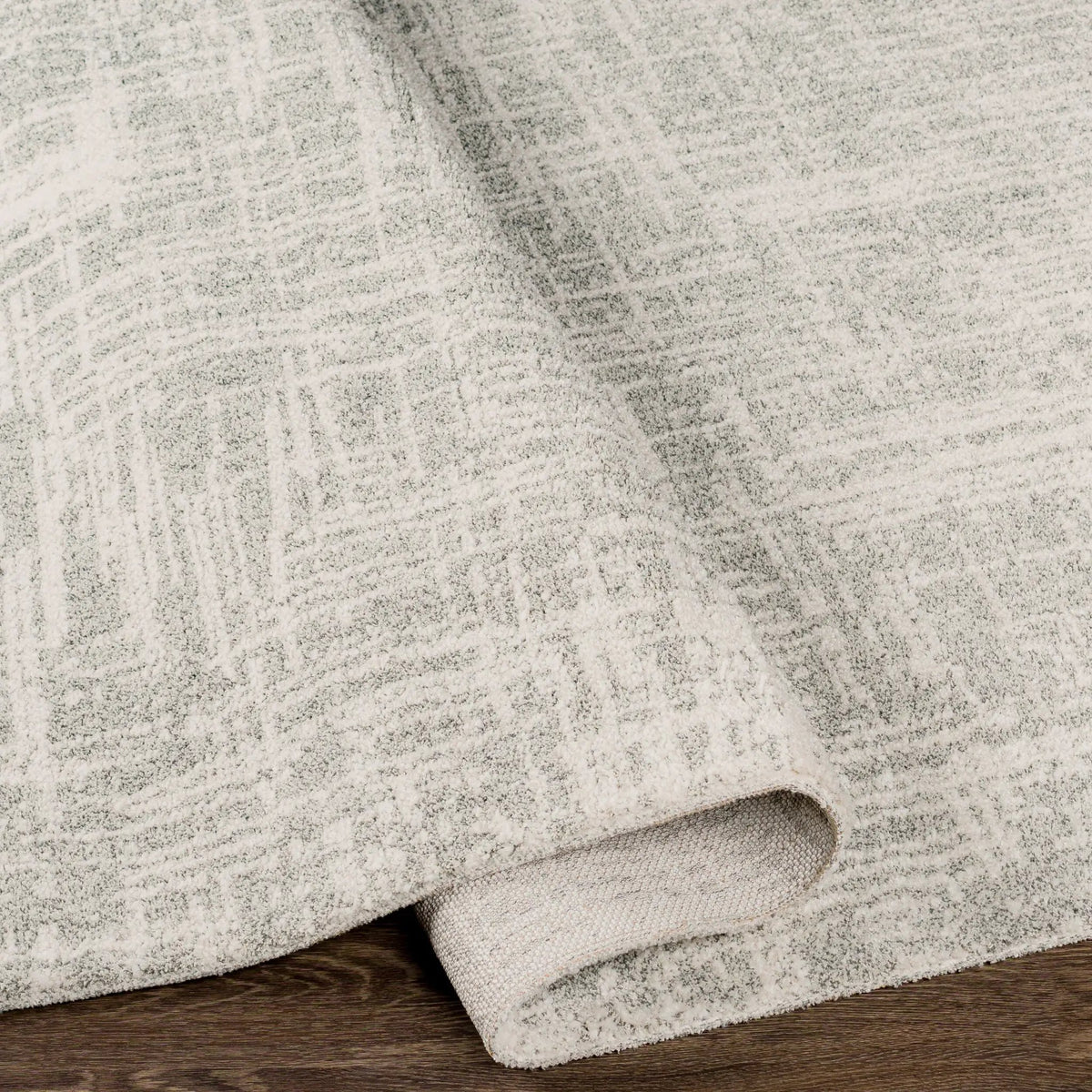 Gavic GVC-2308 Cream Area Rug by LIVABLISS