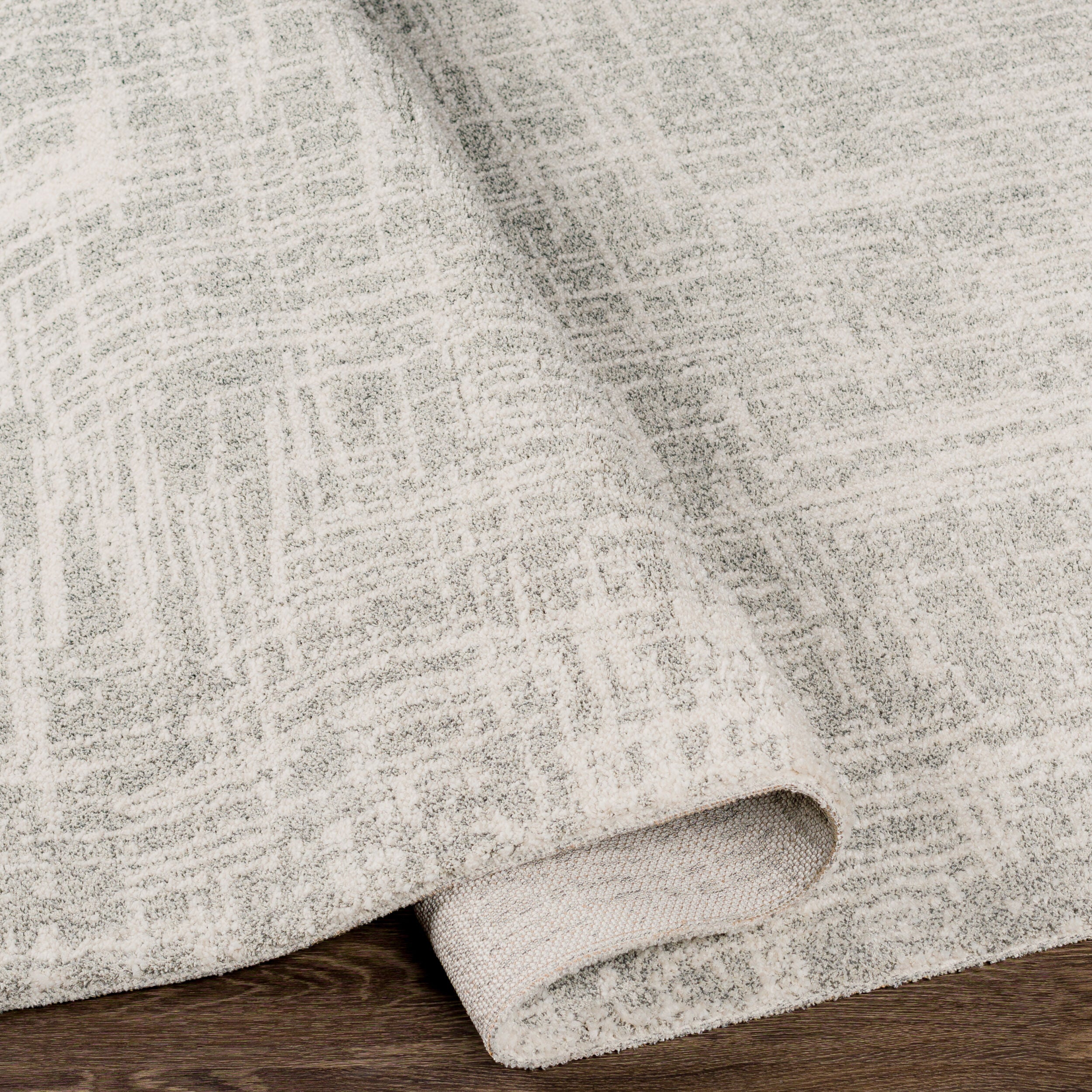 Surya Gavic GVC-2308 Cream Area Rug by LIVABLISS