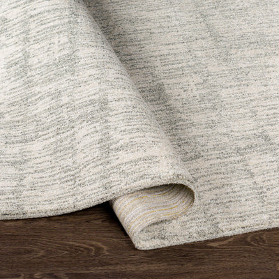 Surya Gavic GVC-2309 Cream Area Rug by LIVABLISS