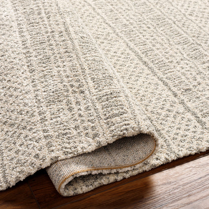 Surya Gavic GVC-2312 Medium Gray Area Rug by LIVABLISS
