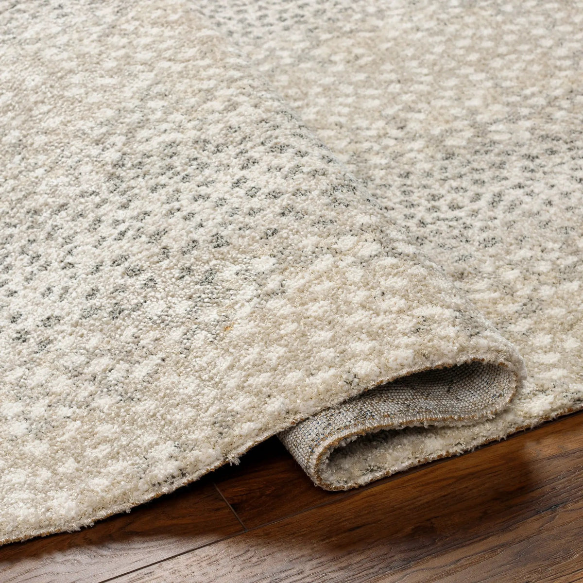 Gavic GVC-2313 Cream Area Rug by LIVABLISS