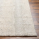 Surya Gavic GVC-2313 Cream Area Rug by LIVABLISS