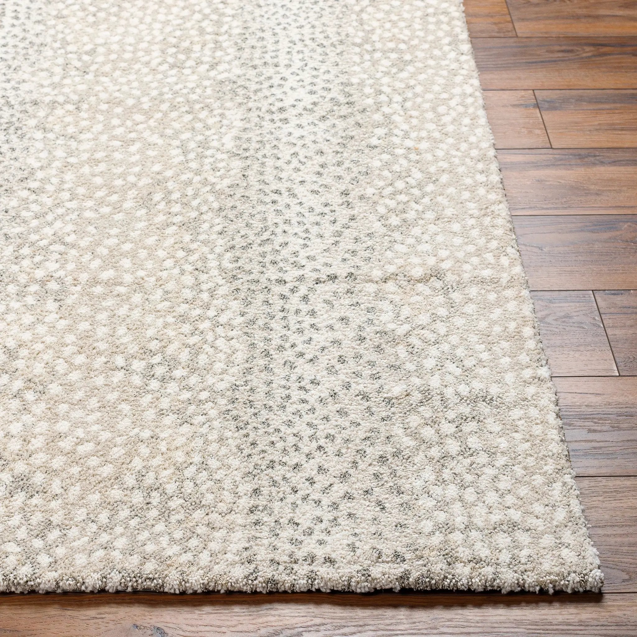 Gavic GVC-2313 Cream Area Rug by LIVABLISS