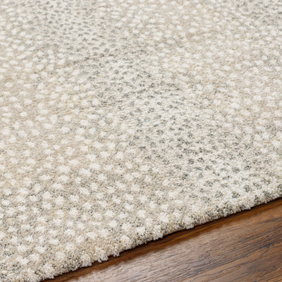 Surya Gavic GVC-2313 Cream Area Rug by LIVABLISS