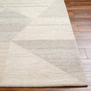 Surya Gavic GVC-2320 Ivory Area Rug by LIVABLISS