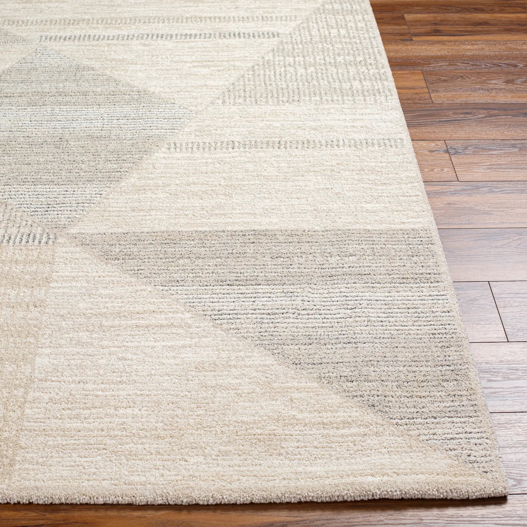 Gavic GVC-2320 Ivory Area Rug by LIVABLISS