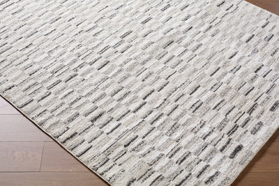 Surya Gavic GVC-2329 Cream Area Rug by LIVABLISS
