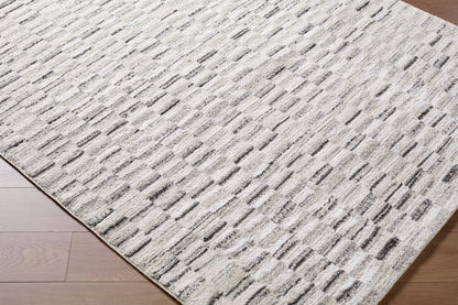 Surya Gavic GVC-2329 Cream Area Rug by LIVABLISS
