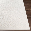 Surya Greenwich GWC-2304 Beige Area Rug by LIVABLISS