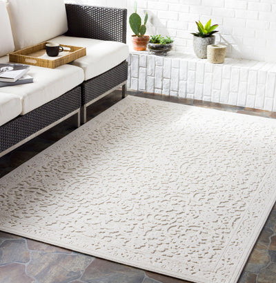 Surya Greenwich GWC-2310 Beige Area Rug by LIVABLISS