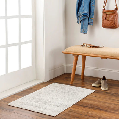 LIVABLISS Harput HAP-1024 Gray Area Rug