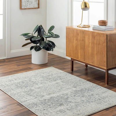 LIVABLISS Harput HAP-1024 Gray Area Rug