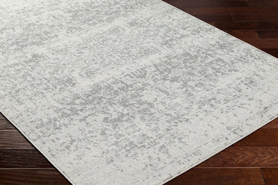 LIVABLISS Harput HAP-1024 Gray Area Rug