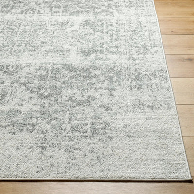 LIVABLISS Harput HAP-1024 Gray Area Rug