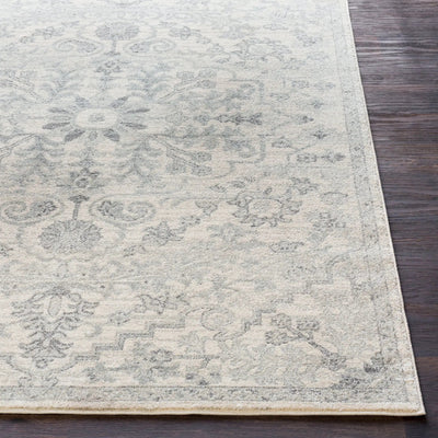 LIVABLISS Harput HAP-1069 Gray Area Rug