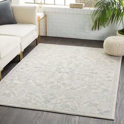 LIVABLISS Harput HAP-1069 Gray Area Rug