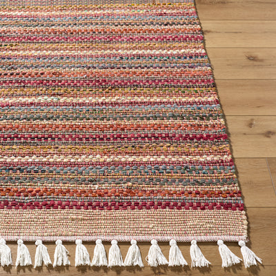 Halifax HLF-2302 Multicolor Area Rug by LIVABLISS