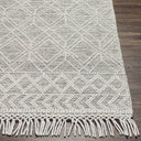 Surya Hemingway HMG-2300 Cream Area Rug by LIVABLISS