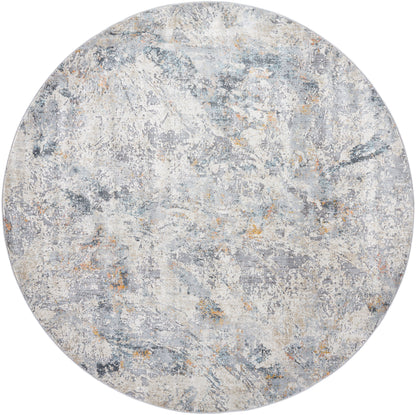 Surya Hassler HSL-2311 Light Slate Area Rug by LIVABLISS