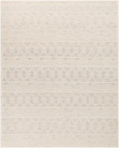 Surya Hygge HYG-2306 Blue Area Rug by LIVABLISS
