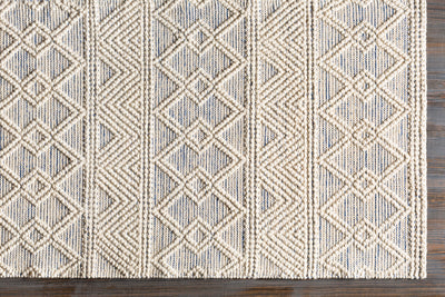 Surya Hygge HYG-2306 Blue Area Rug by LIVABLISS