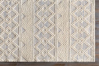 Surya Hygge HYG-2306 Blue Area Rug by LIVABLISS