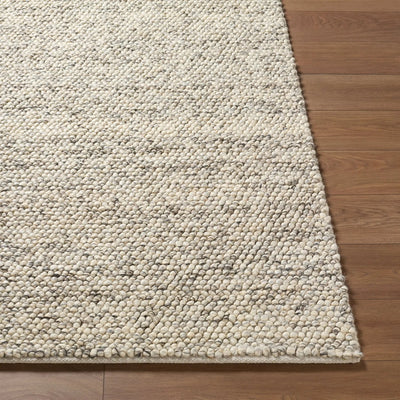 LIVABLISS Hazar HZA-2302 Taupe Area Rug