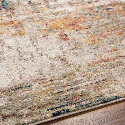 Surya Illusions ILS-2300 Cream Area Rug by LIVABLISS