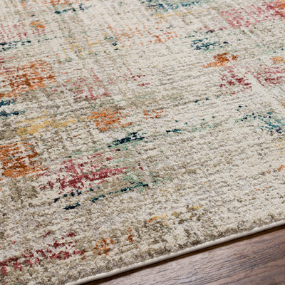 Surya Illusions ILS-2303 Cream Area Rug by LIVABLISS