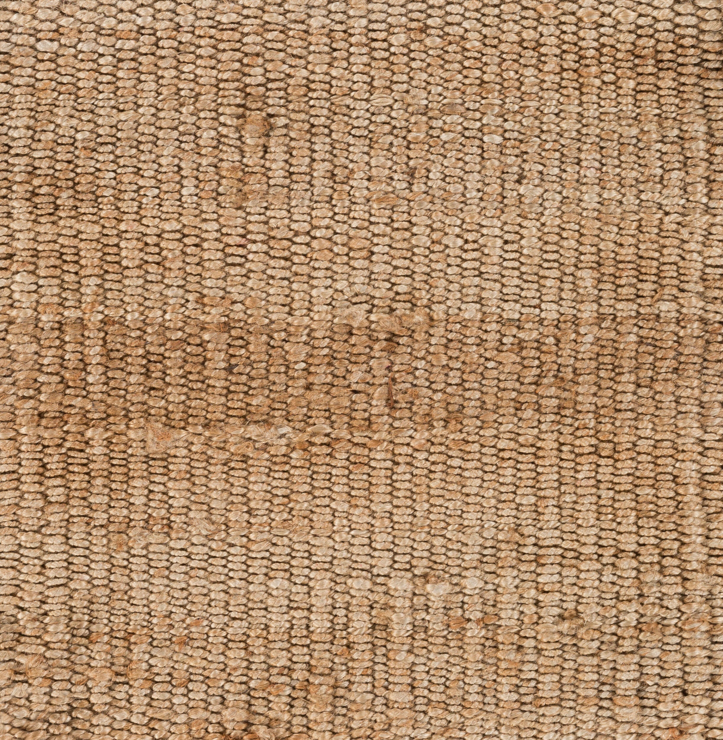 Surya Jute Natural Beige Area Rug by LIVABLISS