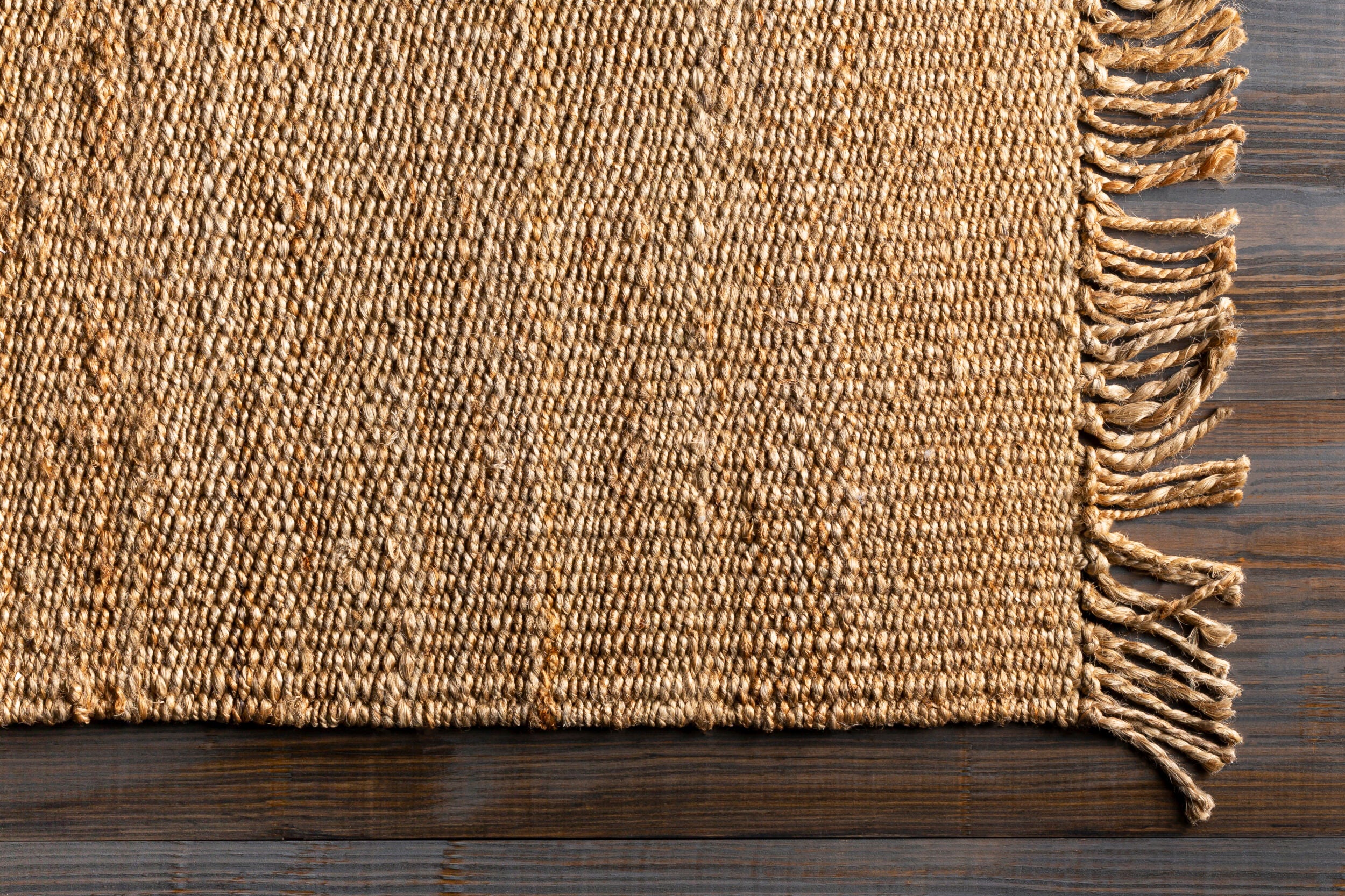 Surya Jute Natural Beige Area Rug by LIVABLISS