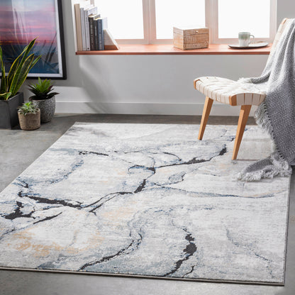Surya Jolie JLO-2316 Medium Gray Area Rug by LIVABLISS
